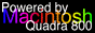 88x31 button: Chip gif q