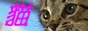 88x31 button: Choir gif web2logo