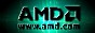 88x31 button: Club pict link amd