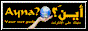 88x31 button: Club sayna
