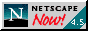 88x31 button: Crete netscape logo