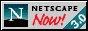 88x31 button: Delphi netscape