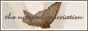 88x31 button: Den Graphics 1c
