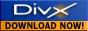 88x31 button: Dome button divx