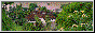 88x31 button: FashionAvenue hmong com