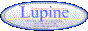 88x31 button: Field lupine2b