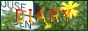 88x31 button: Fields s logo6