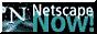 88x31 button: Flats netscape
