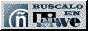 88x31 button: Forum biwe