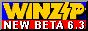 88x31 button: Forum winzip