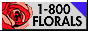 88x31 button: Fountain emb