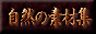 88x31 button: Fuji shizenlink