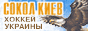88x31 button: Geyser LVgif asokol