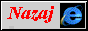 88x31 button: Gold ie animated1