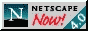 88x31 button: Gold netscape
