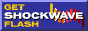 88x31 button: Hangar shock