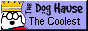 88x31 button: Haven dhminilink5