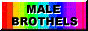 88x31 button: Heights broth