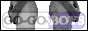 88x31 button: Heights go