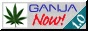 88x31 button: Inlet ganjanow