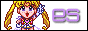 88x31 button: Island es2