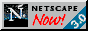 88x31 button: Lab netscape