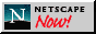 88x31 button: Labyrinth netscape
