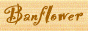 88x31 button: Lagoon text link01