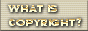 88x31 button: Lane copyrightbeige
