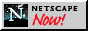 88x31 button: Library netscape