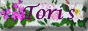88x31 button: Meadows gwtcc