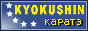 88x31 button: Museum kyoku
