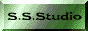 88x31 button: Museum ssstudio22