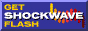 88x31 button: Nashville Opry getflash4