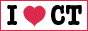 88x31 button: Nashville love ct