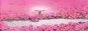 88x31 button: Ohtori Academy Mokushirokuani