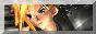 88x31 button: Palette btn m0button