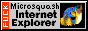 88x31 button: Palms indiejok