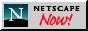 88x31 button: Palms netlogo