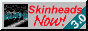 88x31 button: Palms skinow4