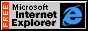 88x31 button: Pentagon Quarters msieicon