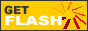 88x31 button: Pipeline Shore getflash