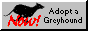 88x31 button: Plains greyhound