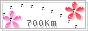 88x31 button: Pool