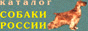 88x31 button: Prairie bancock