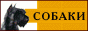 88x31 button: Prairie cn dog
