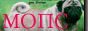 88x31 button: Prairie mops log