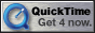 88x31 button: Quad get qt4