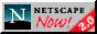 88x31 button: RainForest netscape