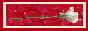 88x31 button: Ranch petit